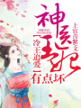 冷王追愛，神醫王妃有點壞