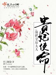 貴妃使命保護皇后大大
