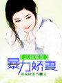 總裁霸寵暴力嬌妻