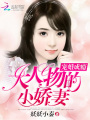 寵婚成癮：大人物的小嬌妻