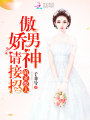 萌妻撩人：傲嬌男神請接招