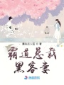 霸道總裁黑客妻