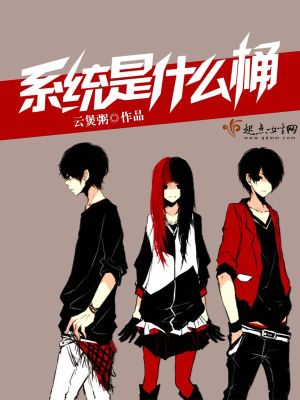 系統是什么桶