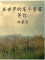 在世界的某個角落等你