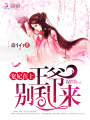 寵妃在上：王爺，別亂來！
