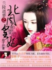 蘭陵遺夢之北周皇妃
