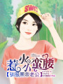 惹火小蠻妻：馴服黑帝老公