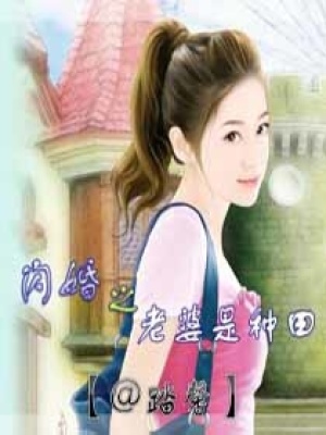 閃婚之老婆是種田
