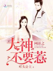 網游之大神不要惹