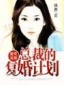 蜜愛寵婚：總裁的復(fù)婚計(jì)劃
