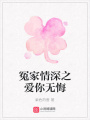 冤家情深之愛你無悔