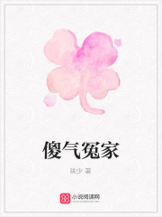 傻氣冤家