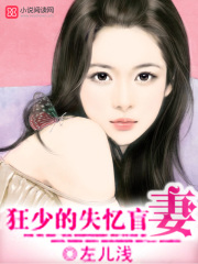 狂少的失憶盲妻