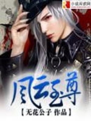 風云至尊