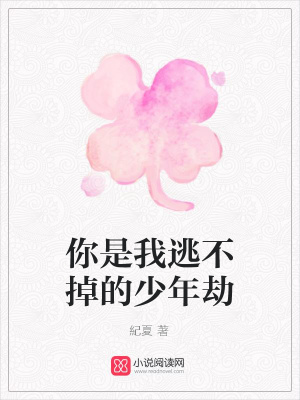 你是我逃不掉的少年劫