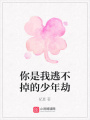 你是我逃不掉的少年劫