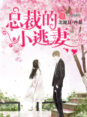 總裁的小逃妻
