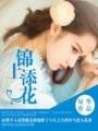 錦上添花