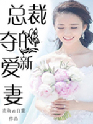 總裁的盛愛新妻