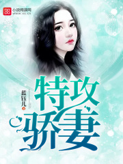 特攻驕妻