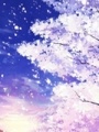 盼雁歸,。盼雁飛