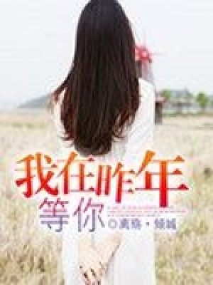 我在昨年等你