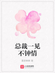 總裁一見不鐘情