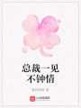 總裁一見不鐘情
