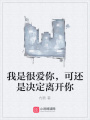 我是很愛你，可還是決定離開你