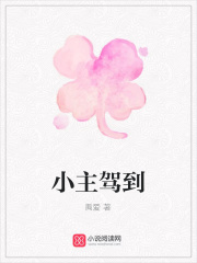小主駕到