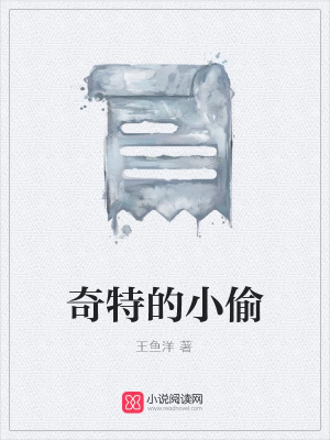 奇特的小偷