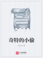 奇特的小偷