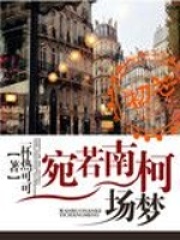宛若南柯一場夢