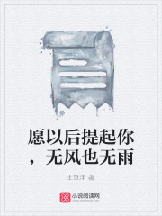 愿以后提起你，無風(fēng)也無雨