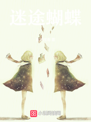 迷途蝴蝶