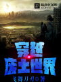 穿越廢土世界