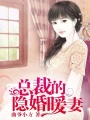 總裁的隱婚暖妻