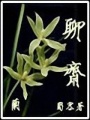 穿越之蘭柯一夢