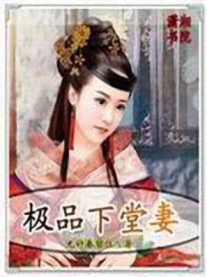 極品下堂妻