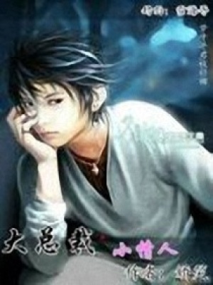 大總裁的小妻