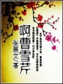 啊曹雪芹