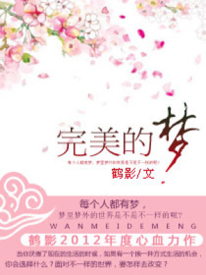 完美的夢