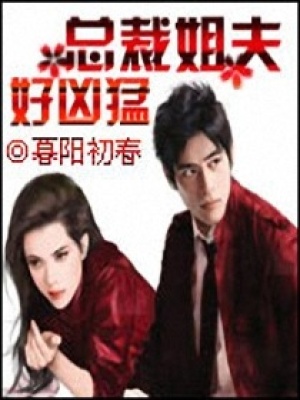 總裁好霸情
