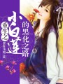 重生之小白蓮的黑化之路