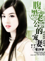腹黑老公的寵妻II