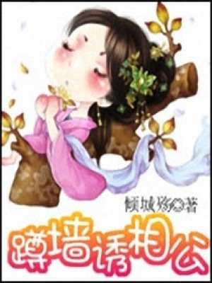 蹲墻誘相公