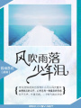 風吹雨落少年淚