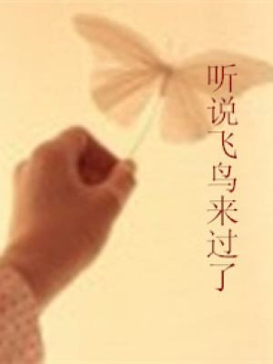 聽說飛鳥來過了