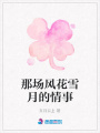 那場(chǎng)風(fēng)花雪月的情事