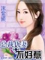 總裁仇妻不好惹